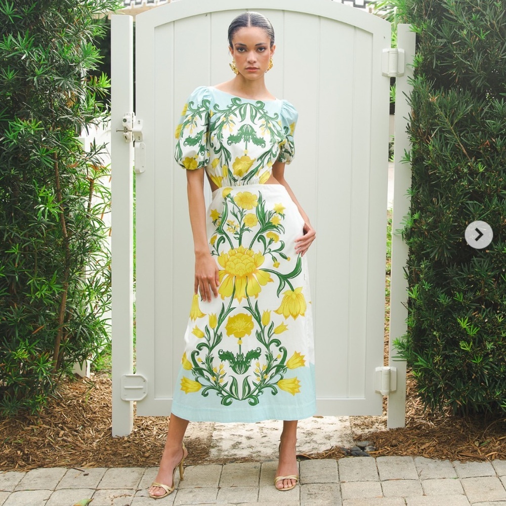 Mestiza New York Floral Cut Out Dress